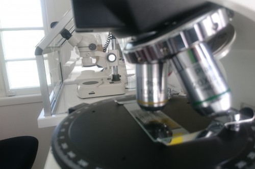 Microscopes for hazardous substances testing