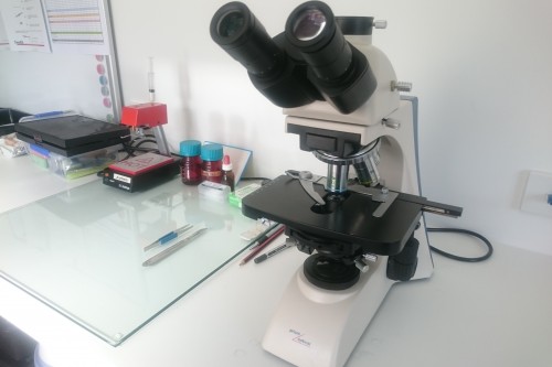 Microscopes for hazardous inspection